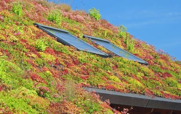 Brockham living roof systems
